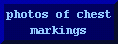 click here to see the markings, if any